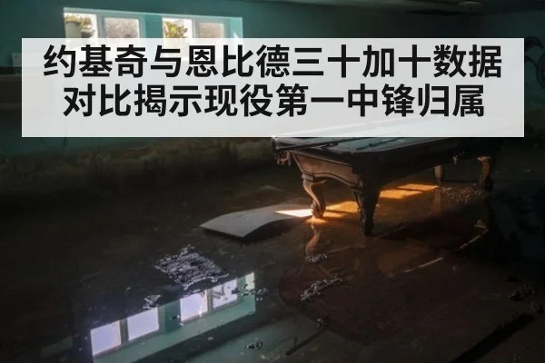 约基奇与恩比德三十加十数据对比揭示现役第一中锋归属