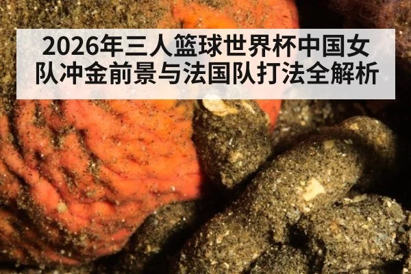2026年三人篮球世界杯中国女队冲金前景与法国队打法全解析